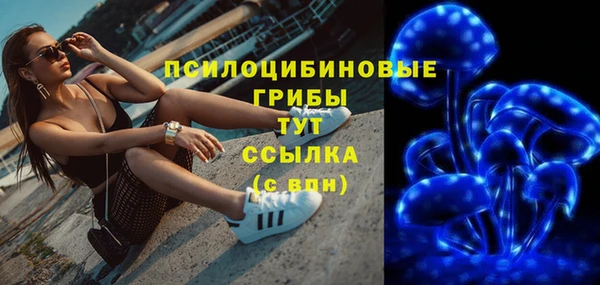стафф Няндома