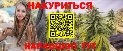 стаф Гатчина