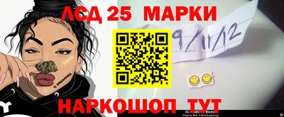 стаф Гатчина
