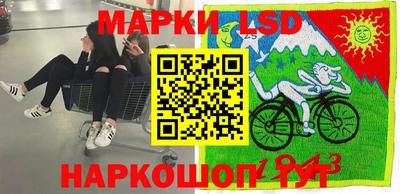 стаф Гатчина