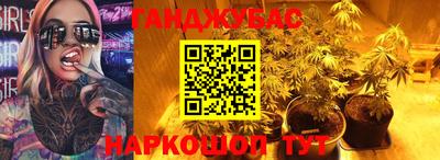 стаф Гатчина