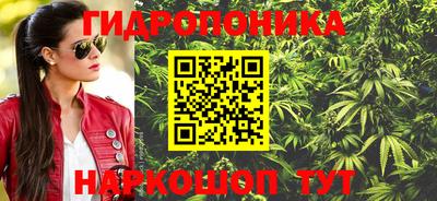 ALPHA PVP Гай