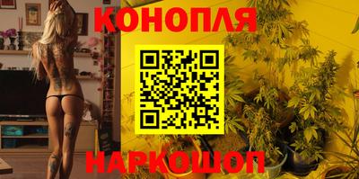 стаф Гатчина