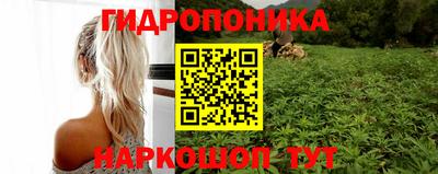 соль ск Гагарин