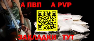 стаф Гатчина