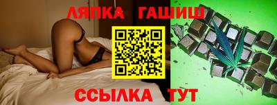 стаф Гатчина