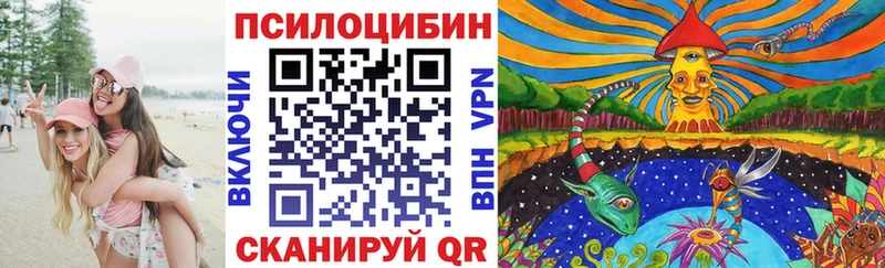 закладка  Кимовск  Псилоцибиновые грибы GOLDEN TEACHER 