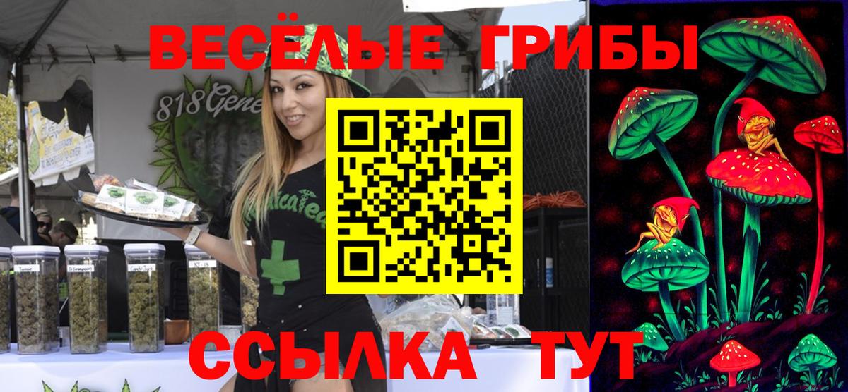 Галлюциногенные грибы мицелий  Вход с VPN  Кимовск 